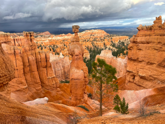 Screen Shot 2024-05-05 at 9.17.03 PM.png