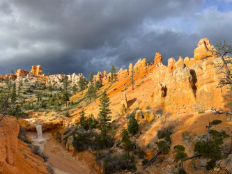 Screen Shot 2024-05-05 at 9.16.40 PM.png