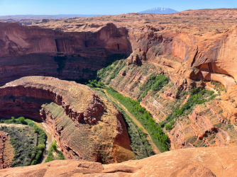 Screen Shot 2024-05-05 at 9.24.36 PM.png