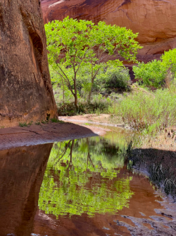 Screen Shot 2024-05-05 at 10.22.15 PM.png Screen Shot 2024-05-05 at 10.22.15 PM.png