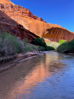 Screen Shot 2024-05-05 at 10.22.05 PM.png Screen Shot 2024-05-05 at 10.22.05 PM.png