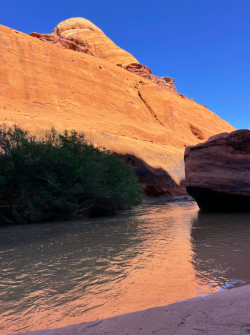 Screen Shot 2024-05-05 at 10.21.51 PM.png Screen Shot 2024-05-05 at 10.21.51 PM.png