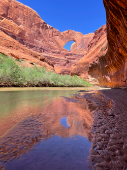 Screen Shot 2024-05-05 at 10.21.17 PM.png Screen Shot 2024-05-05 at 10.21.17 PM.png