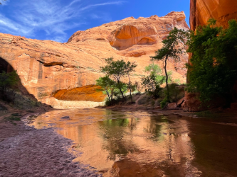 Screen Shot 2024-05-05 at 10.20.37 PM.png Screen Shot 2024-05-05 at 10.20.37 PM.png