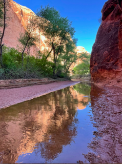 Screen Shot 2024-05-05 at 10.20.24 PM.png Screen Shot 2024-05-05 at 10.20.24 PM.png