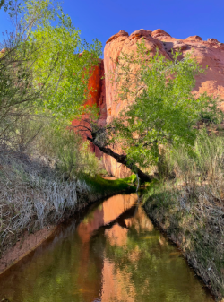 Screen Shot 2024-05-05 at 10.19.54 PM.png Screen Shot 2024-05-05 at 10.19.54 PM.png