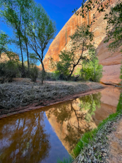 Screen Shot 2024-05-05 at 10.19.41 PM.png Screen Shot 2024-05-05 at 10.19.41 PM.png