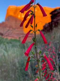 Screen Shot 2024-05-05 at 10.40.13 PM.png