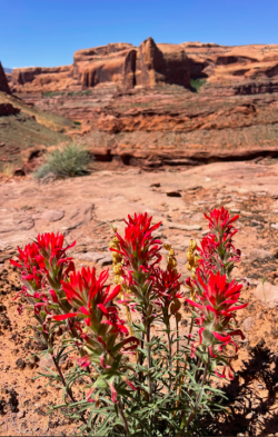 Screen Shot 2024-05-05 at 10.37.59 PM.png