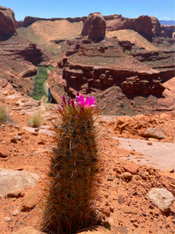 Screen Shot 2024-05-05 at 10.37.39 PM.png