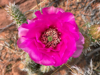 Screen Shot 2024-05-05 at 10.37.08 PM.png