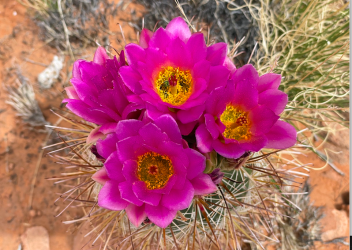 Screen Shot 2024-05-05 at 10.36.47 PM.png