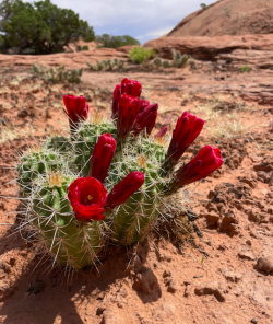 Screen Shot 2024-05-05 at 10.36.23 PM.png