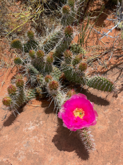 Screen Shot 2024-05-05 at 10.36.06 PM.png