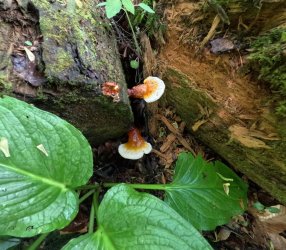 GOPR1044.JPG GOPR1044.JPG