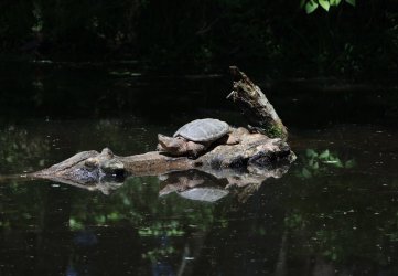 0O7A3987.JPG 0O7A3987.JPG