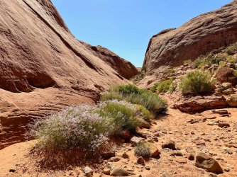 IMG_9018-EDIT (1).jpg