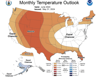Screen Shot 2024-06-02 at 9.46.06 AM.png