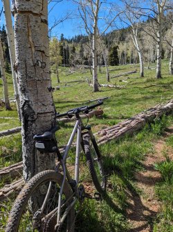 PXL_20240530_225533599 (1).jpg