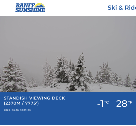 Screen Shot 2024-06-16 at 8.27.09 AM.png