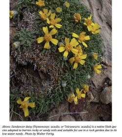 Screen Shot 2024-06-16 at 1.45.21 PM.png