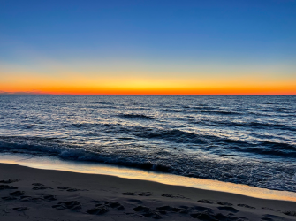 Screen Shot 2024-06-16 at 7.22.10 PM.png