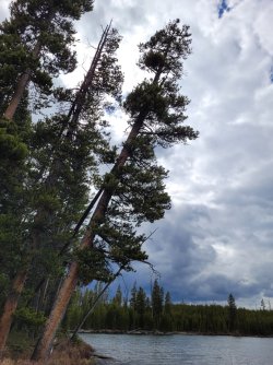 20240602_161518.jpg 20240602_161518.jpg