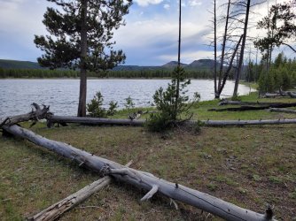 20240606_185109.jpg 20240606_185109.jpg