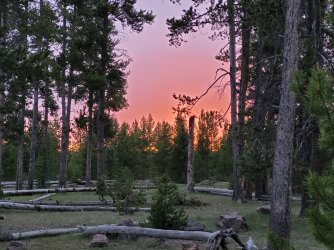 20240606_210622.jpg 20240606_210622.jpg