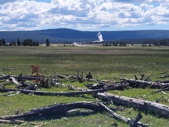 20240608_101945.jpg 20240608_101945.jpg