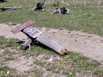 20240608_103524.jpg 20240608_103524.jpg