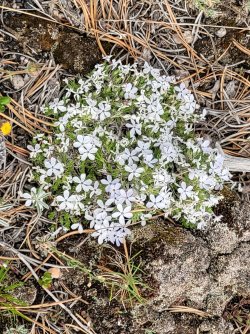 20240607_192103.jpg 20240607_192103.jpg