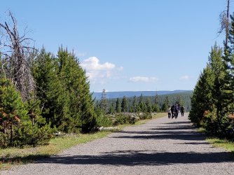 20240615_101453.jpg 20240615_101453.jpg