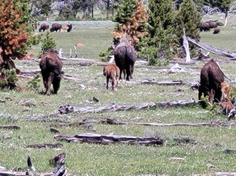 20240615_102007.jpg 20240615_102007.jpg