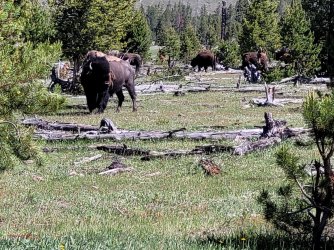 20240615_101602.jpg 20240615_101602.jpg