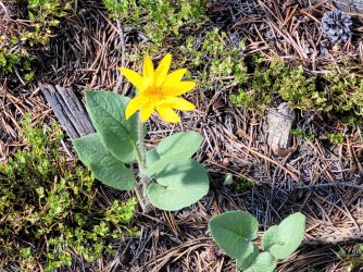 20240619_162736.jpg 20240619_162736.jpg