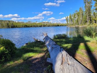 20240619_180011.jpg 20240619_180011.jpg