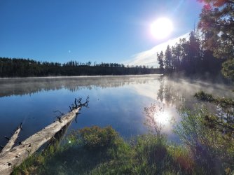 20240620_071033.jpg 20240620_071033.jpg