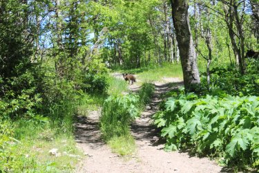 IMG_7073-2.jpg IMG_7073-2.jpg