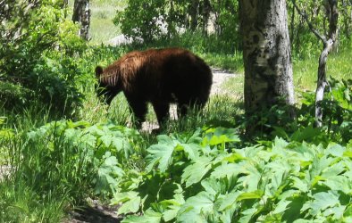 IMG_7076-2.jpg IMG_7076-2.jpg