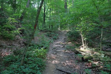 0O7A4158.JPG 0O7A4158.JPG