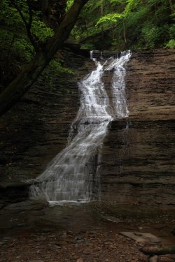 0O7A4211A.jpg 0O7A4211A.jpg