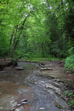 0O7A4223.JPG 0O7A4223.JPG