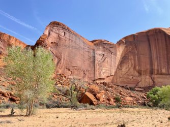 IMG_2356.jpg IMG_2356.jpg