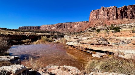 IMG_3777.jpg IMG_3777.jpg