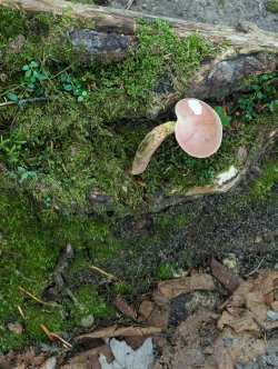 PXL_20240719_140458581.jpg PXL_20240719_140458581.jpg