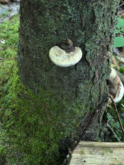 PXL_20240719_140512173.jpg PXL_20240719_140512173.jpg