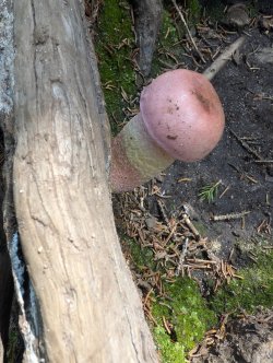 PXL_20240719_141002434.jpg PXL_20240719_141002434.jpg