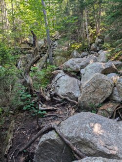 PXL_20240719_145351903.jpg PXL_20240719_145351903.jpg