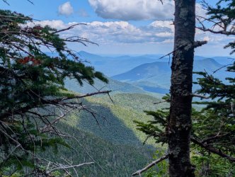 PXL_20240719_174508001~2.jpg PXL_20240719_174508001~2.jpg